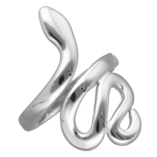 Stalowy pierścionek o kształcie wijącego się węża.jpg