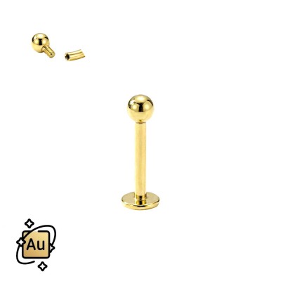 GPBP00GD.jpg