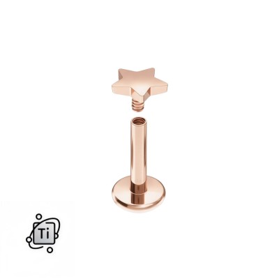 Labret Internal Gwiazdka_RGD.jpg