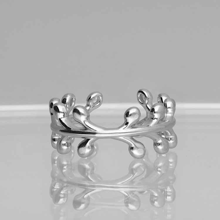 Obrączka stalowa GAŁĄZKA.JPG