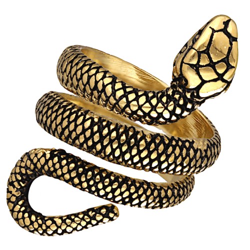 Obrączka stalowa WĄŻ.jpg