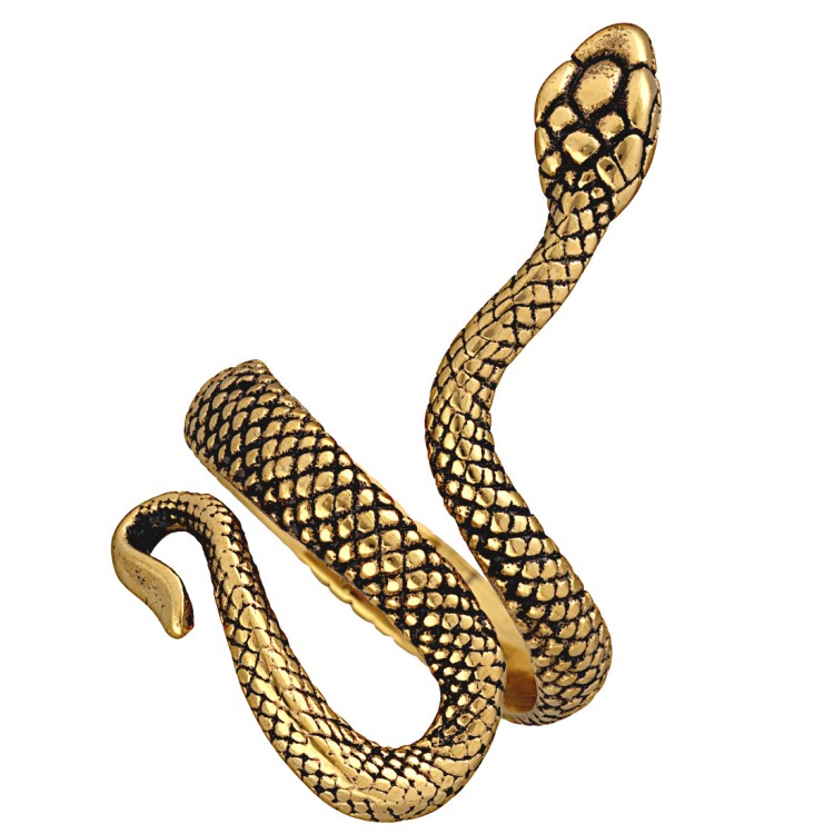 Pierścionek stalowy ŻMIJKA.jpg