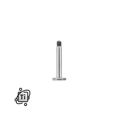 Labret.bazaT.jpg