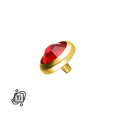 T derm r.gold cyrk.czerwona2S.jpg