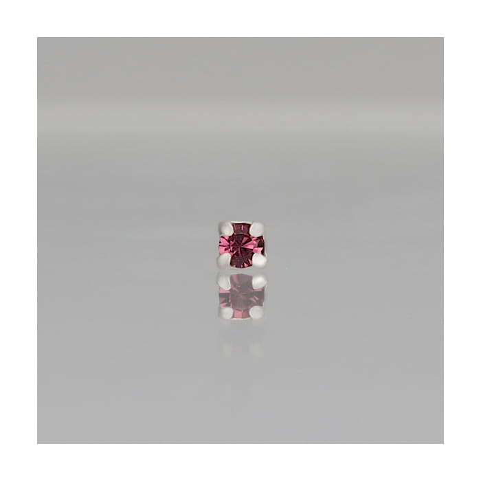 Fuchsia_zc_03m.jpg