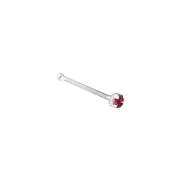 Fuchsia_zc_01m.jpg