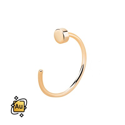 AuRGo-ring1.jpg